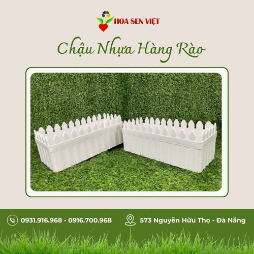 Chậu nhựa hàng rào