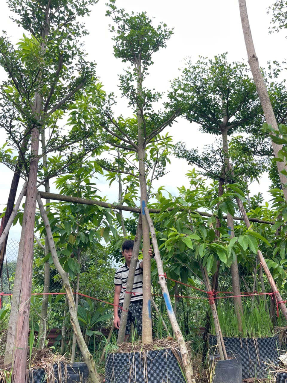 Tuyển nhân viên kinh doanh và chăm sóc khách hàng