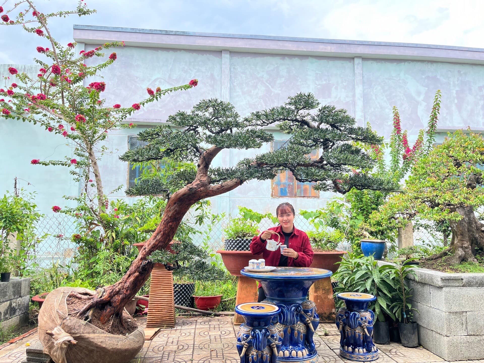 Tuyển nhân viên kinh doanh và chăm sóc khách hàng